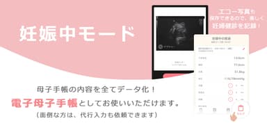妊娠中モード
