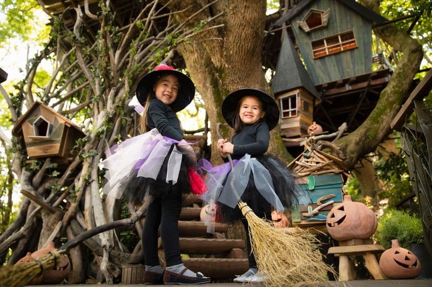 星野リゾート　リゾナーレ
八ヶ岳・熱海・トマムで展開する、個性豊かなハロウィンイベント
「リゾナーレハロウィン2019」開催！紹介動画公開！
装飾に加え、スタッフによるハロウィン仕様のサービス等も
