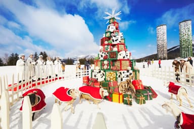 【トマム】ファームクリスマス メイン