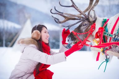 【トマム】トナカイ イメージ