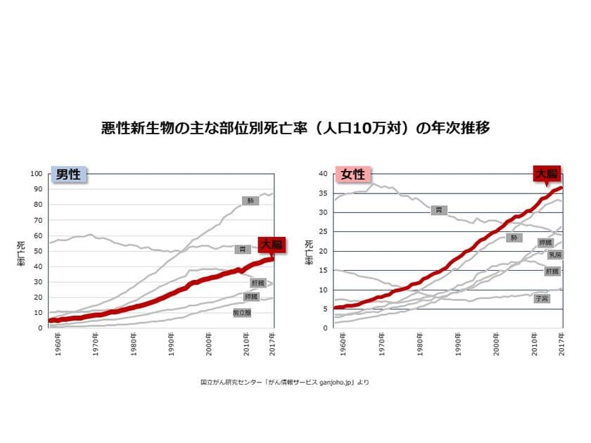 もしかしてあなたも予備軍？
日本人の大腸が危ない?!大腸の劣化を招く意外な食トレンド