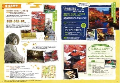 中面抜粋