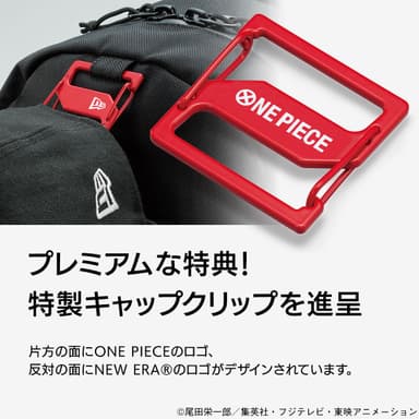 購入特典