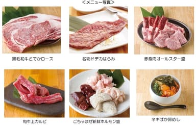 メニュー写真
