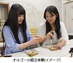 オルゴール組立体験(イメージ)