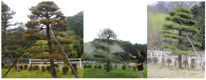 微生物のチカラで「草花や樹木を病害から守る」
「悪臭を除去する」次世代のオーガニック活性剤
