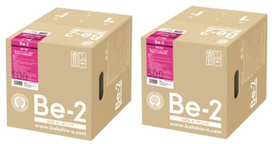 Be-2 RS