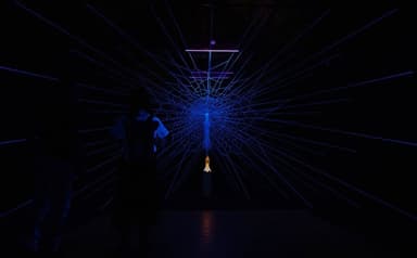 作品名：「in the mist」六甲高山植物園