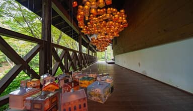 作品名：「builds crowd AMAGASAKI」六甲高山植物園