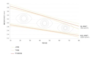 年齢と瞳孔サイズの関係性