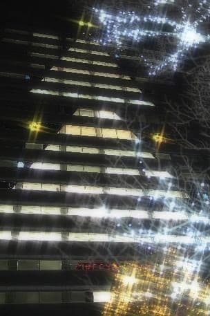 ビル壁面の巨大クリスマスツリー