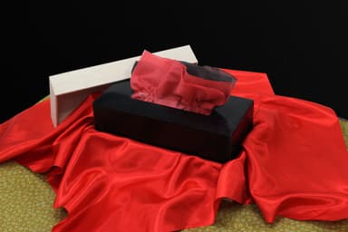 漆ティッシュ全体イメージ