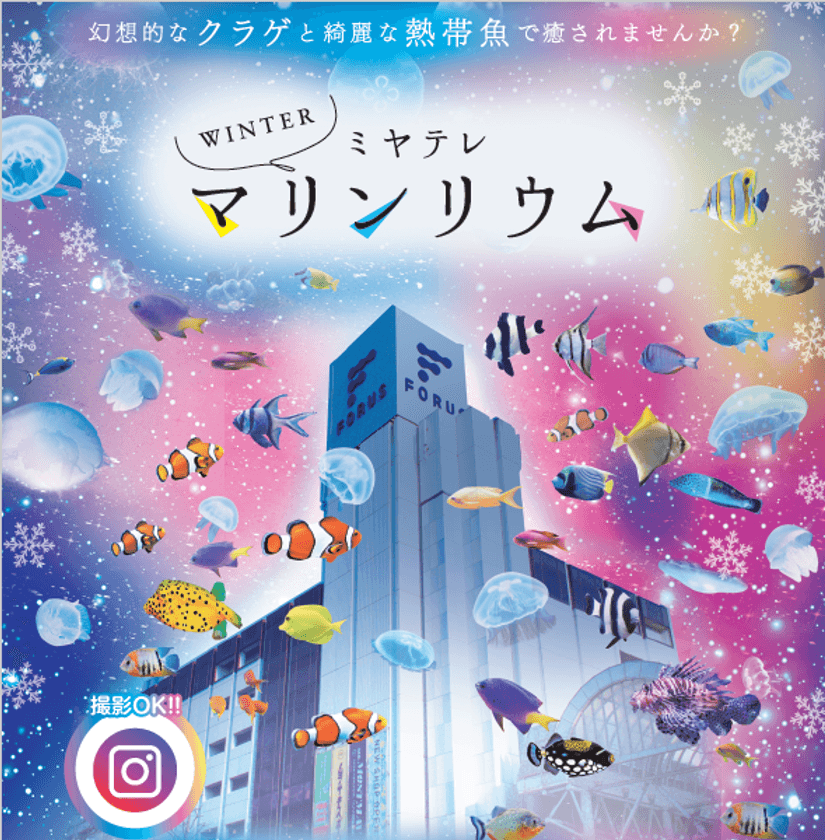 光と水の空間をクラゲと熱帯魚が彩る「ミヤテレ マリンリウム」
　12月14日から仙台フォーラスで開催