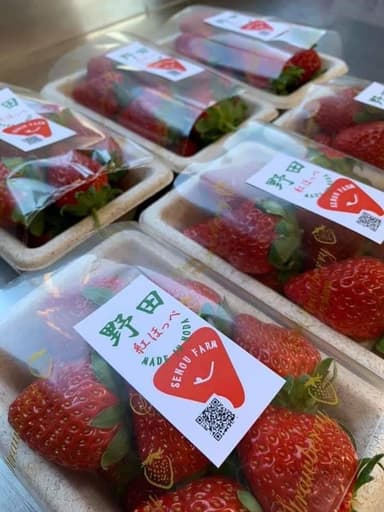 SENOU FARMのあま～いイチゴはクリスマスケーキに！