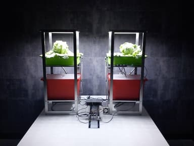 farmbox全景