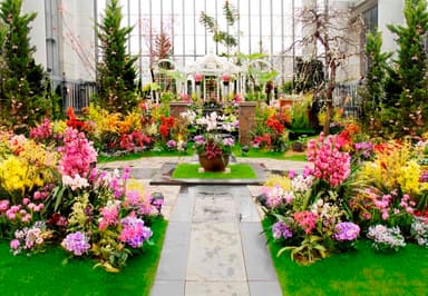 淡路夢舞台温室「奇跡の星の植物館」ラン展(イメージ)