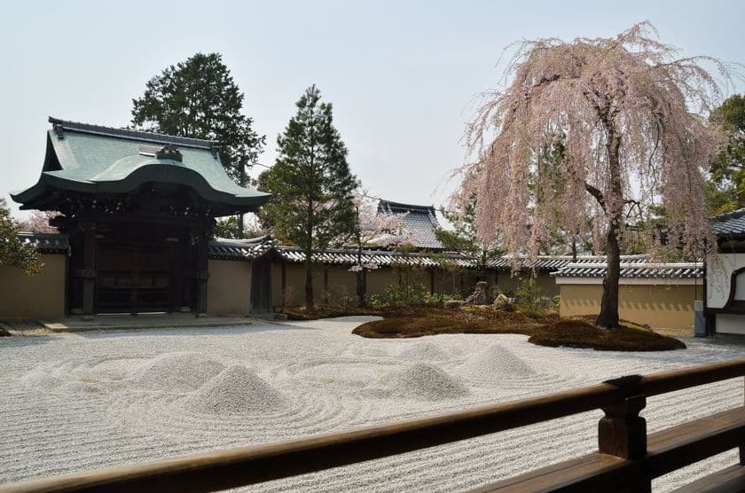 京都の春や桜・寺院を貸し切り！5つの宿泊プランを販売開始　
京都ブライトンホテル　寺院の貸切拝観ほか京繍体験など