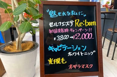 キャンペーン