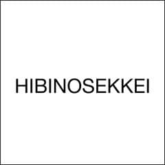 株式会社日比野設計