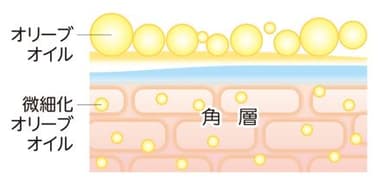 オイルイメージ画像