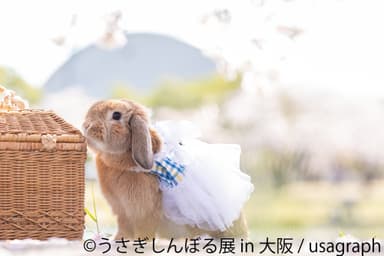 展示作品1