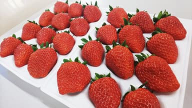 いちごのパック商品