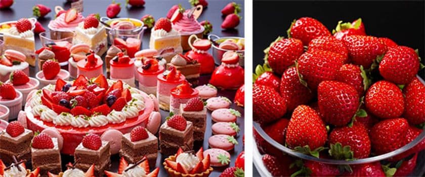 ～開業27周年記念フェア～
春の週末はいちごづくしでHappyに！
いちごスイーツビュッフェ開催
2020年3月1日（日）よりダイニングカフェクレメントにて開催