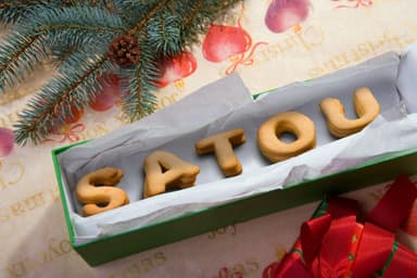 イメージバリアブル画像例(SATOU)