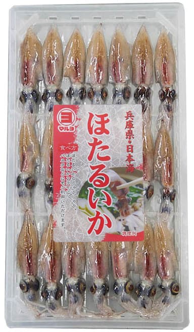 生ほたるいか