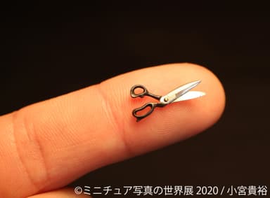 展示作品1