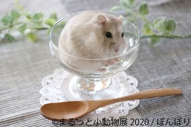 展示作品8