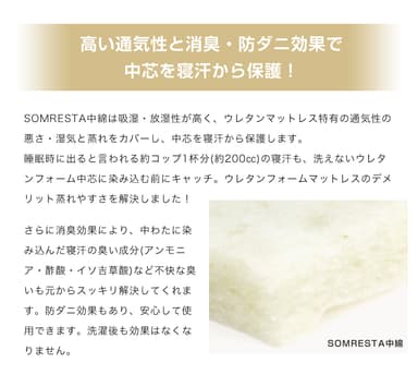 (10)SOMRESTA(TM)中綿