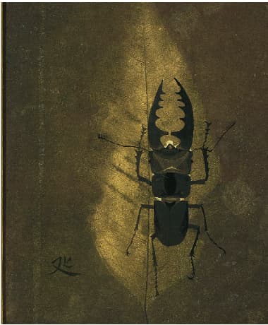 加山 又造「昆虫」