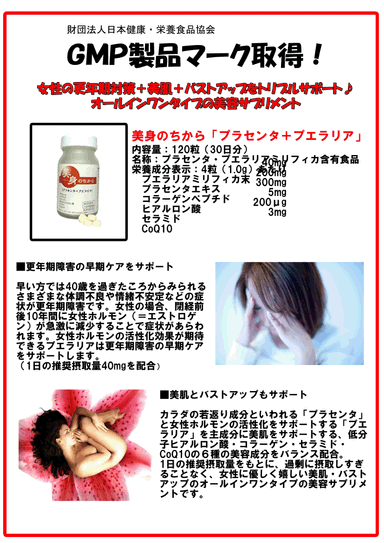 GMP製品マーク取得の説明書