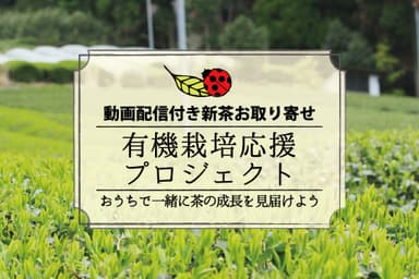 動画配信付き新茶お取り寄せ