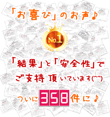 実績
