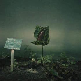 HAL KUZUYA