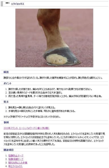 掲載例：エクイロックス
