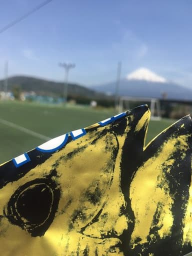 マグロ