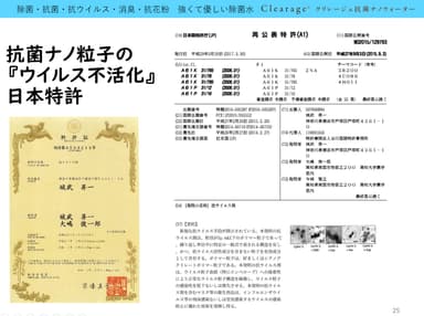 日本の特許