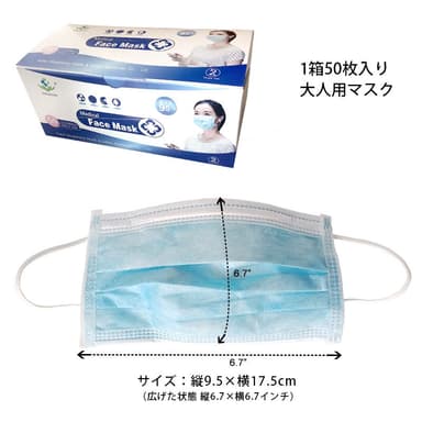 レギュラーサイズ