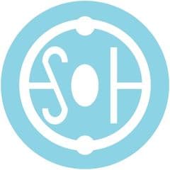 株式会社ESOH group