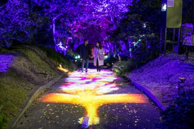 地面に現れる神秘的な火の鳥に感動