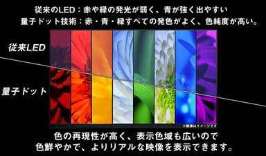 量子ドット比較イメージ