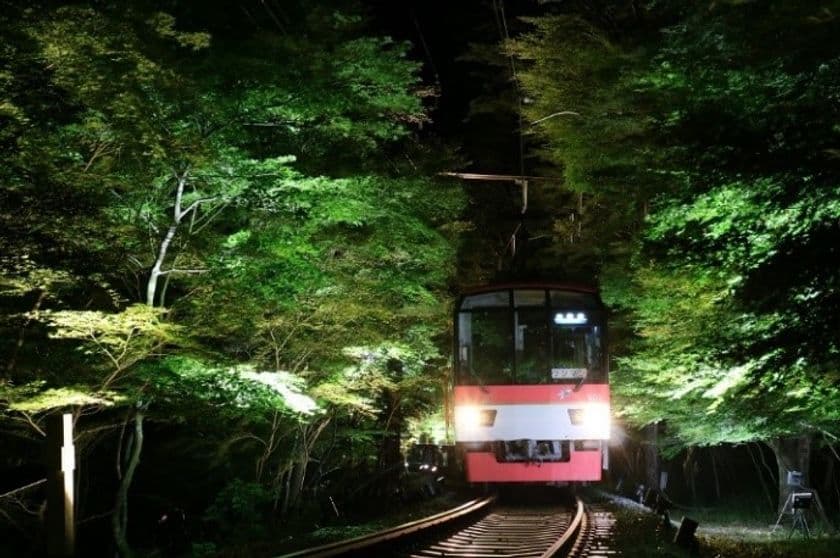 ～ みなさまの願いが伝わりますように ～
「七夕伝車」の運行、「青もみじのライトアップ」を実施します