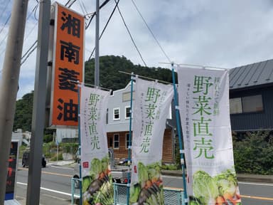 販売場所