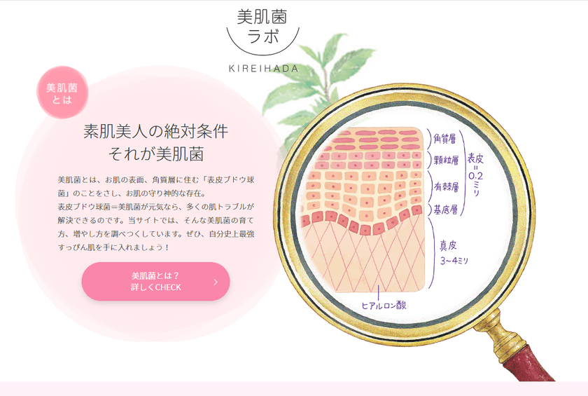 これからの美肌は「菌」がつくる　
美肌菌の育て方、増やし方のサイト
「美肌菌ラボ～キレイハダ～」が公開