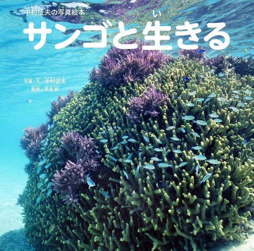 子どもから大人までサンゴの生態や自然環境を学べる写真絵本
『中村征夫の写真絵本 サンゴと生きる』発売！
貴重な“サンゴのけんかシーン”の撮影に初成功