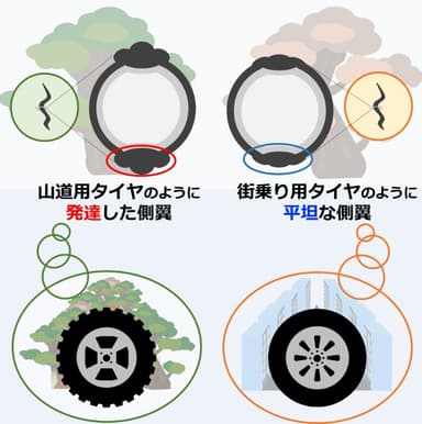 図3. マツ細胞食ステージと菌食ステージにおける側翼の形態可塑性を表したダイアグラム