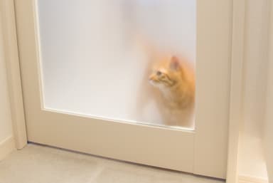 すりガラス戸